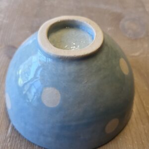Müeslischale «blau/grün»
